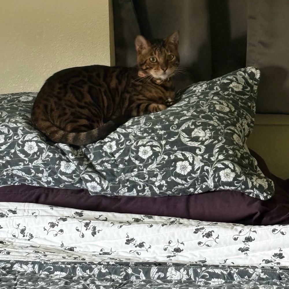 Meet your Posher, Kelley